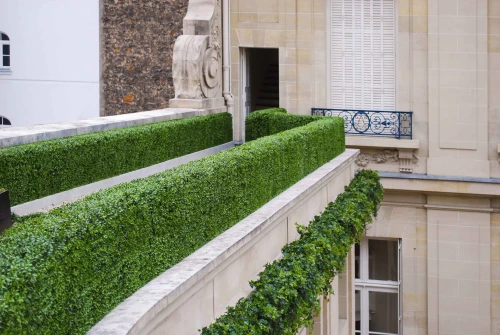 Hedges and topiary on a building