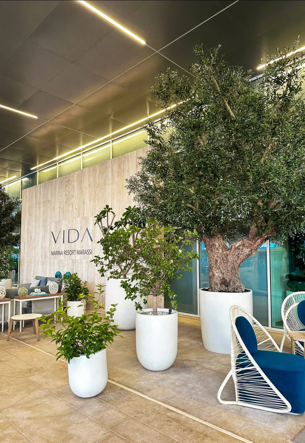 artificial olive tree installed in Vida Marina Hotel