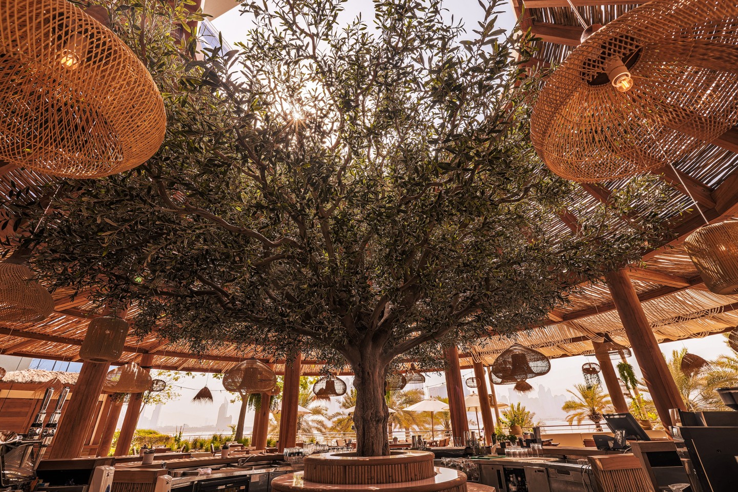 An artificial bespoke olive tree situated in ULA, Dubai